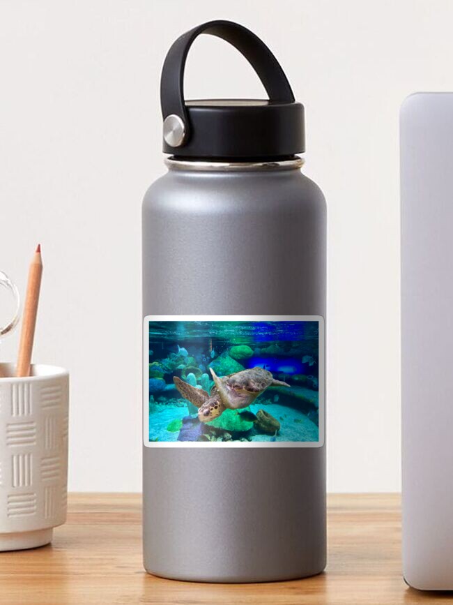 Thumbnail 1 of 3, Sticker, Sea Turtle Under Water designed and sold by rossifari.