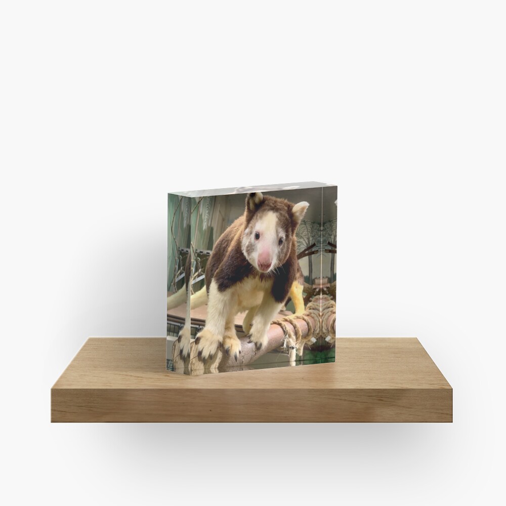 Item preview, Acrylic Block designed and sold by rossifari.