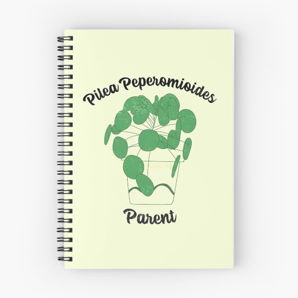 Item preview, Pilea Peperomioides Parent designed and sold by GoldenStef.