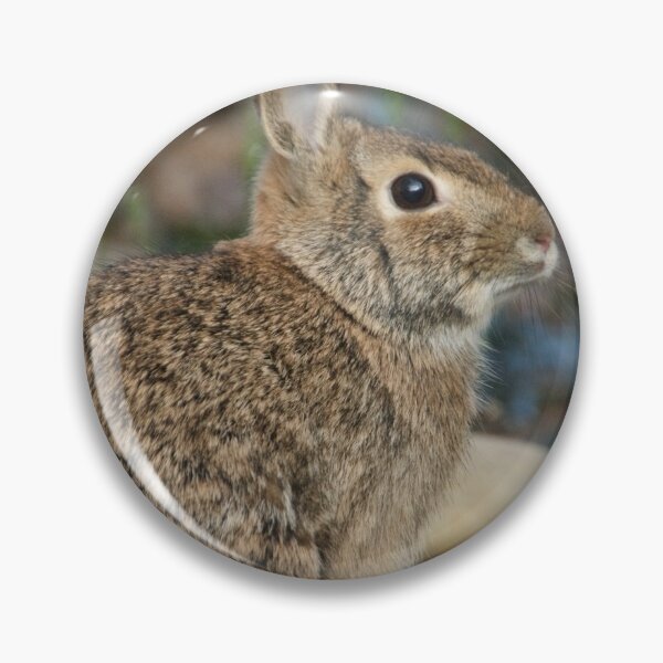 Item preview, Bun on the Rocks designed and sold by KensLensDesigns.