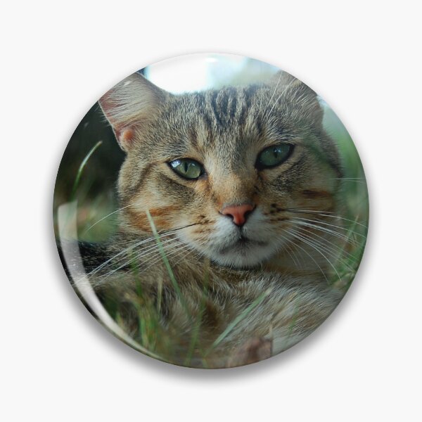 Item preview, Grass Tabby designed and sold by Amber Ryder.