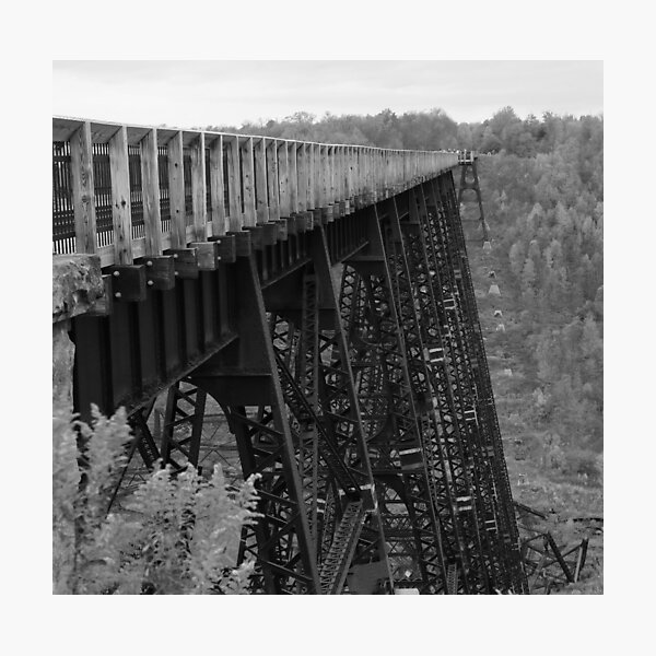 Kinzua Skywalk Photographic Print