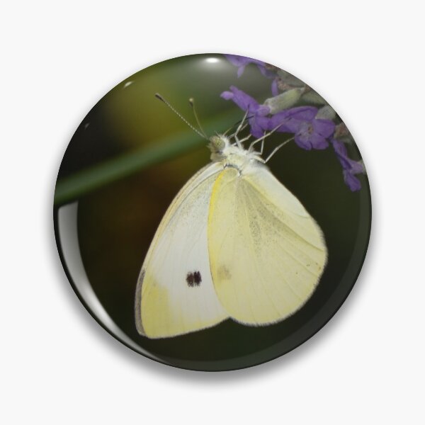 Item preview, Cabbage White butterfly designed and sold by rodmacpherson.