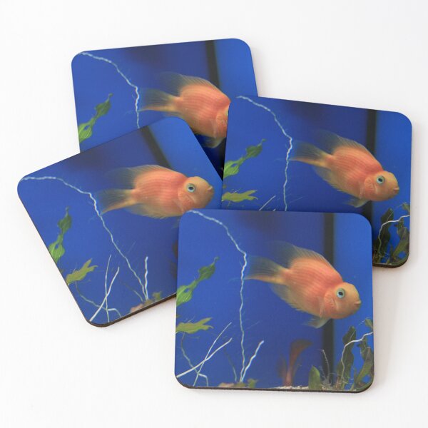 Item preview, fishy designed and sold by clepy.