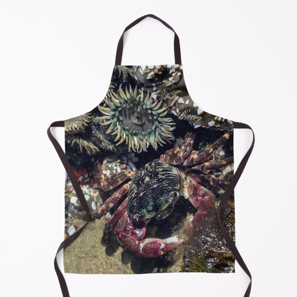 Item preview, Crab and Anemones designed and sold by heatherfriedman.