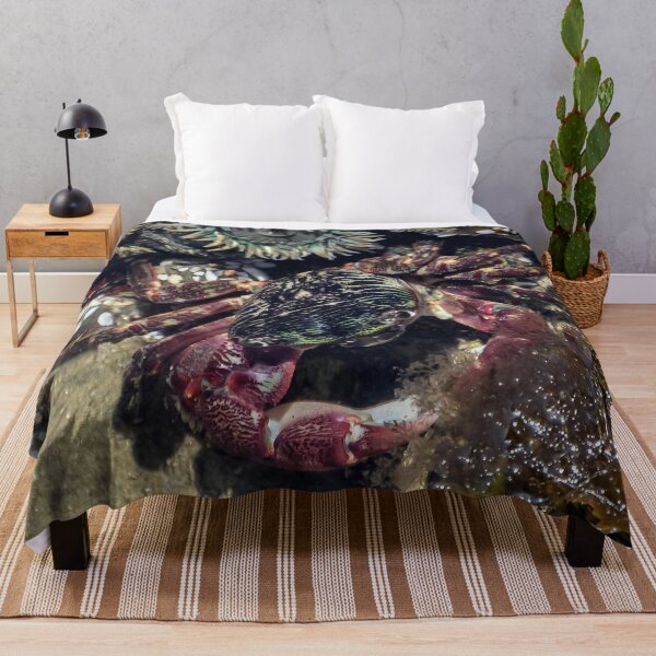 Item preview, Crab and Anemones designed and sold by heatherfriedman.