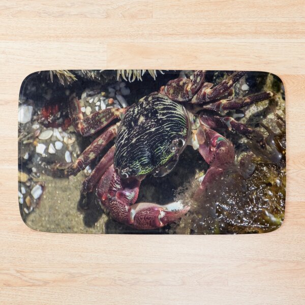 Item preview, Crab and Anemones  designed and sold by heatherfriedman.