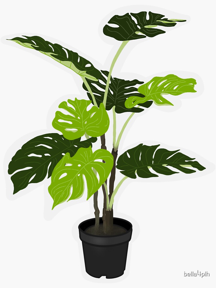 "Potted Elephant Tree Plant" Sticker for Sale by bella4plh Redbubble