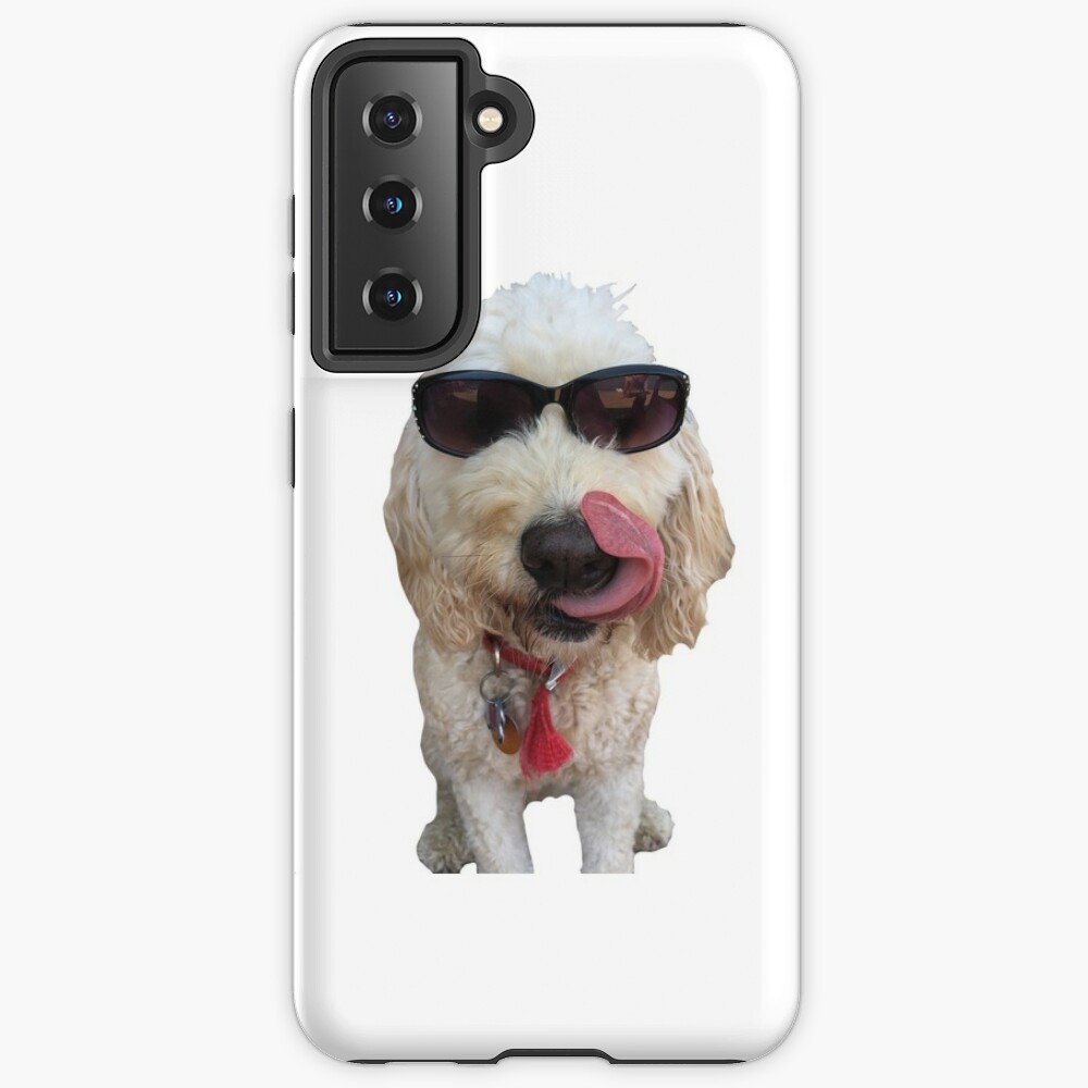 cool dog in a hat and sunglasses Sticker for Sale by Evaskov