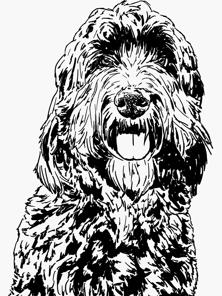 "Bernedoodle Dog" Sticker for Sale by designsbykeegan | Redbubble