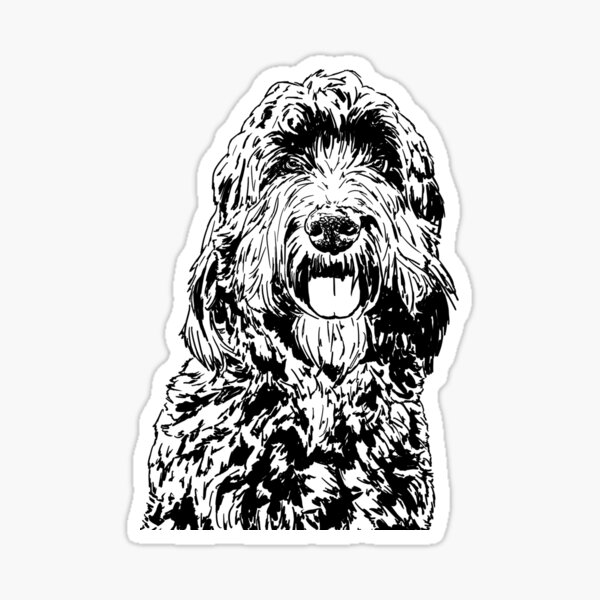 Bernedoodle Dog Sticker