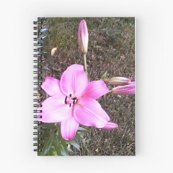 Item preview, Digital Pink Flower and Buds designed and sold by GrudleBay.
