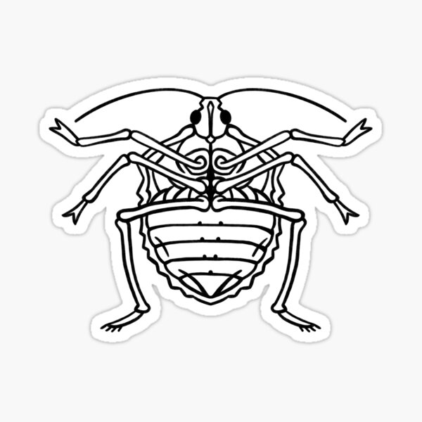 Stink Bug Black Outline Sticker