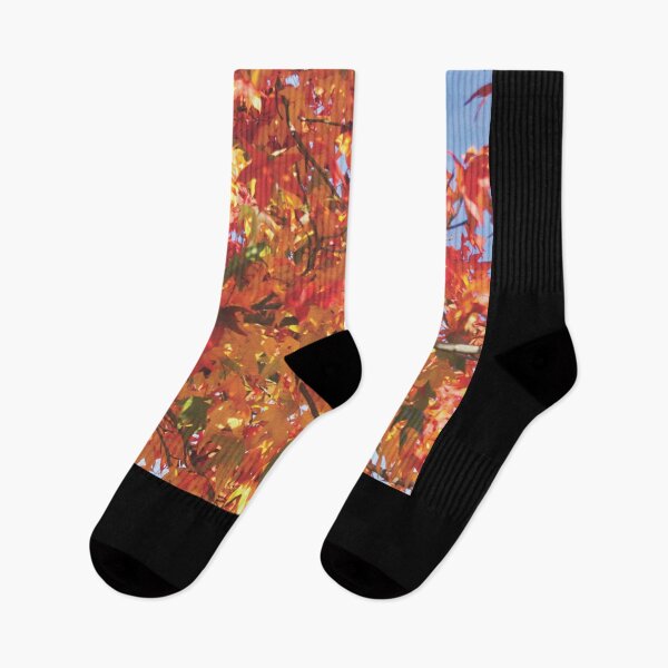 Item preview, Fall is a wonderful time when beautiful, multi colored leaves turn a variety of glorious colors by Faelee Fall 3. designed and sold by Faelee.