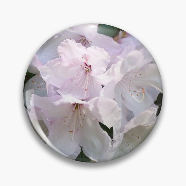 Item preview, Eternal Thankfulness designed and sold by Elaine Bawden.