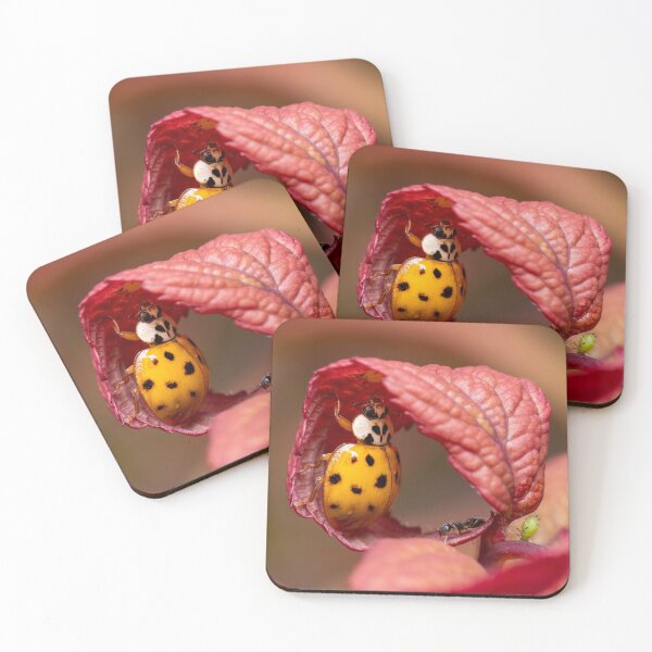 Item preview, Ladybug reaching for an aphid designed and sold by SorryToBugYou.