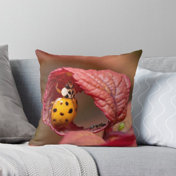 Item preview, Ladybug reaching for an aphid designed and sold by SorryToBugYou.