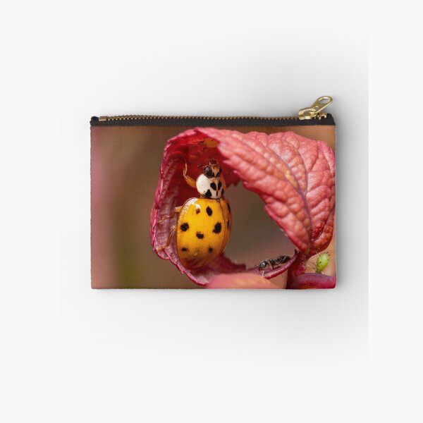 Item preview, Ladybug reaching for an aphid designed and sold by SorryToBugYou.