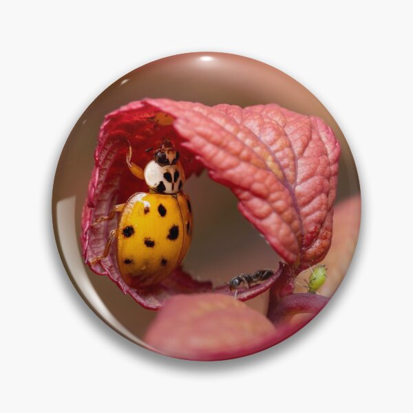 Item preview, Ladybug reaching for an aphid designed and sold by SorryToBugYou.