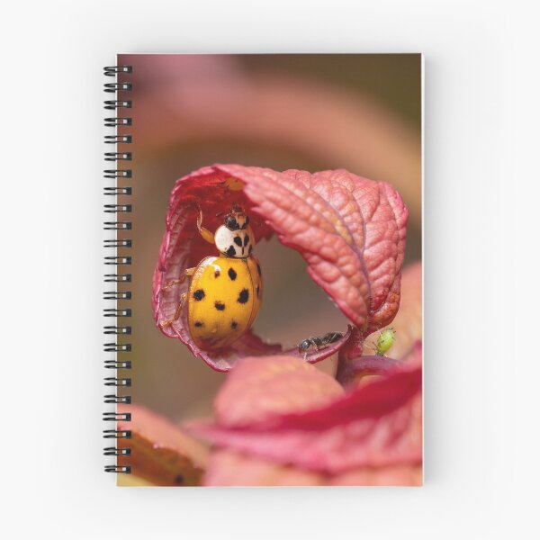 Item preview, Ladybug reaching for an aphid designed and sold by SorryToBugYou.