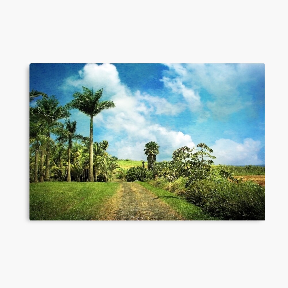 Dreaming of Hilo Canvas Print