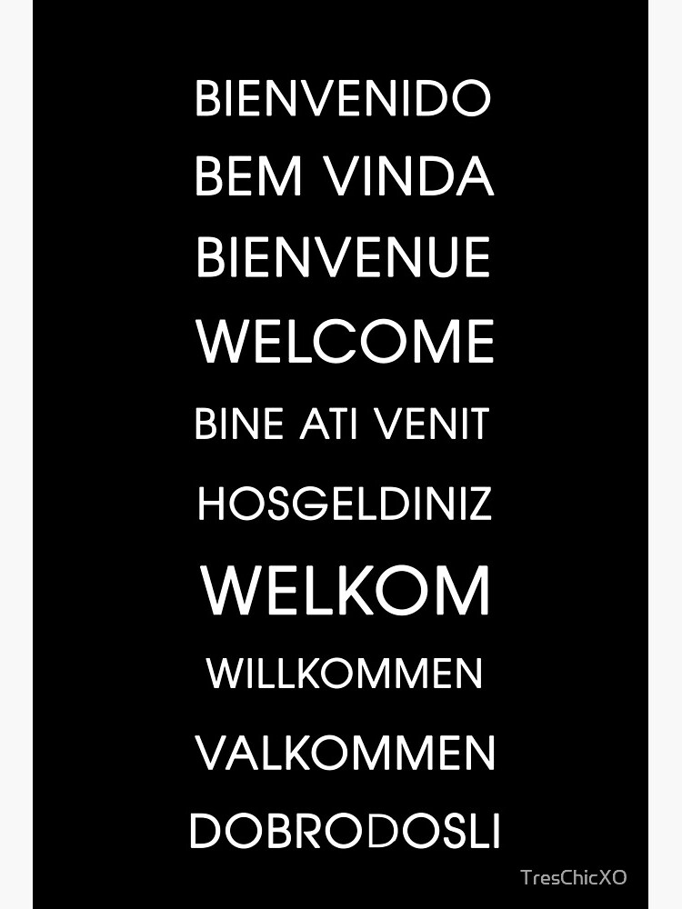 Bienvenidos welcome entryway front door decal wall decal, welcome in  spanish, spanish door sign