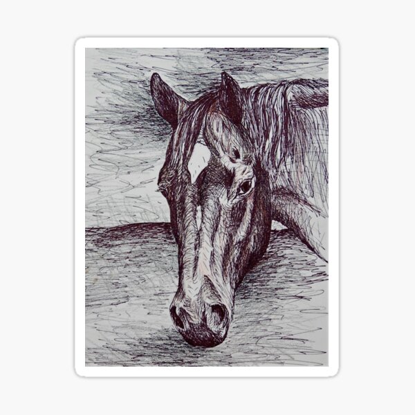 Horse Sketch Portrait Sticker