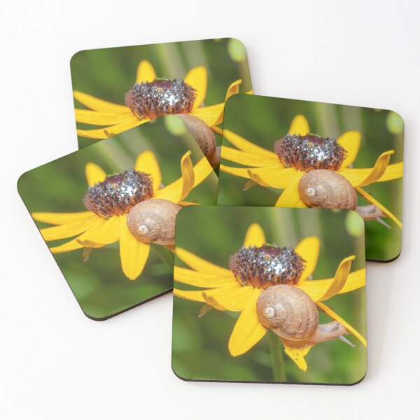 Item preview, Snail eating a flower designed and sold by SorryToBugYou.