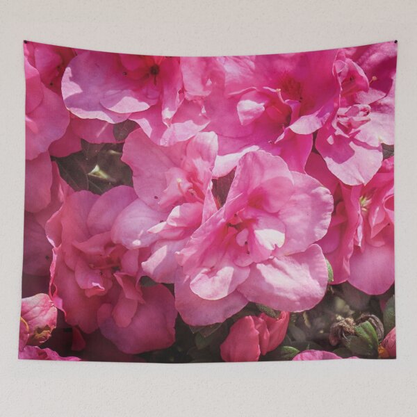 Item preview, Azaleas In Sunshine designed and sold by wallarooimages.