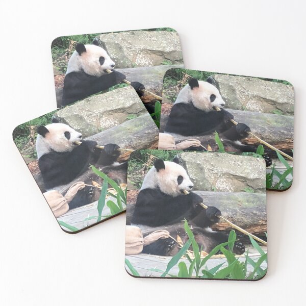 Item preview, Panda Eating Bamboo Photograph designed and sold by twicetrader.