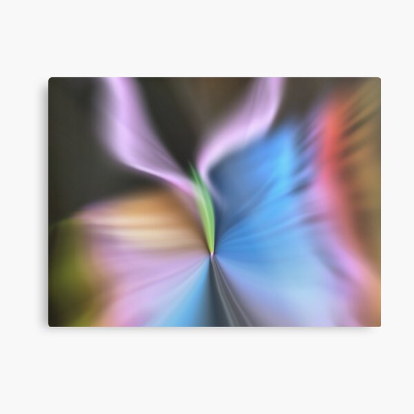 Butterfly Metal Print