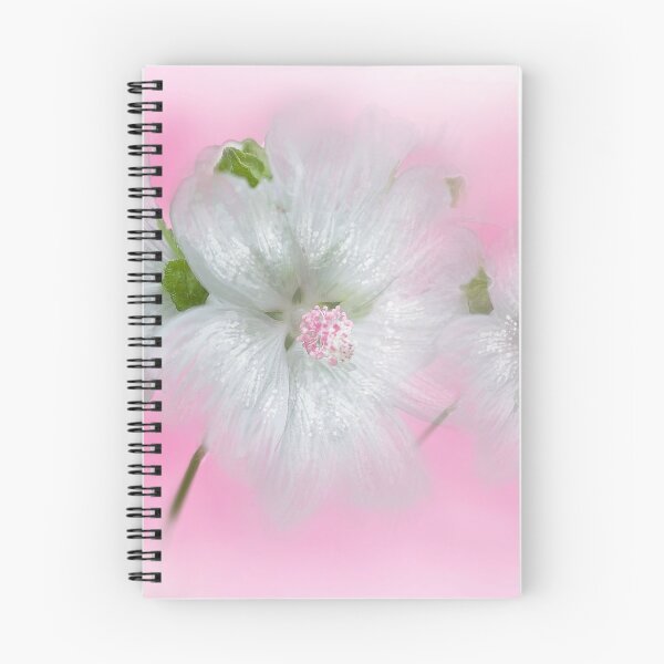 Item preview, Malva Moschata 'Alba' designed and sold by Alisonchambers2.