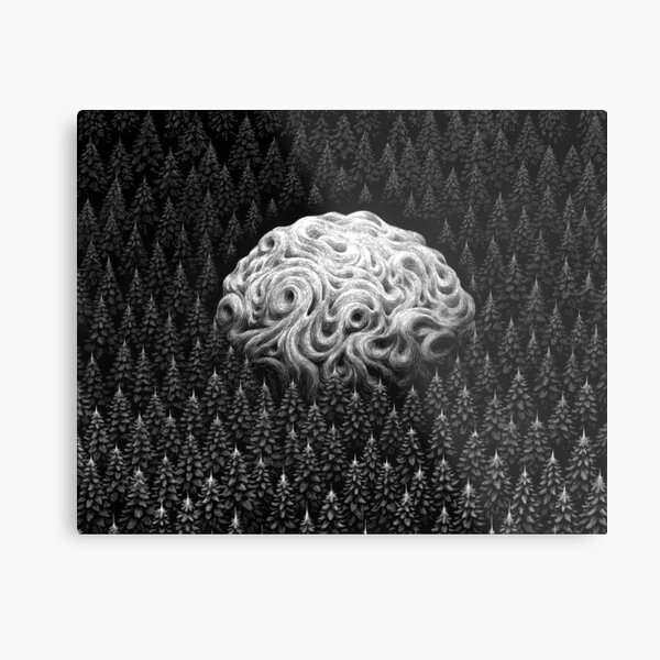 The Mistery Metal Print