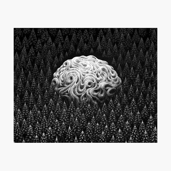 The Mistery Photographic Print