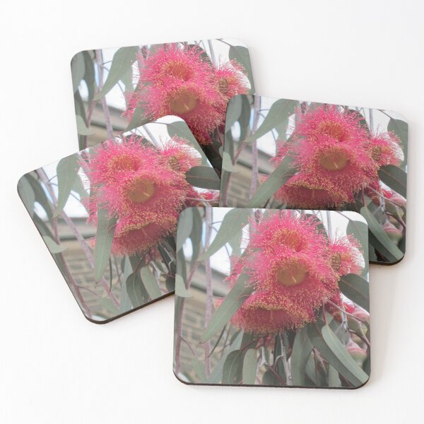 Item preview, Flowering Gum Trees  Australia designed and sold by LizEllisPhotos.