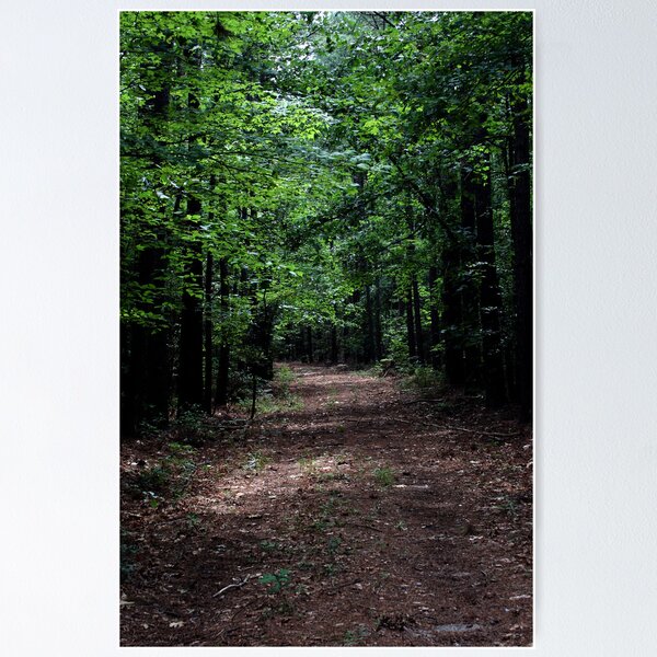 Item preview, A Walk in the Park designed and sold by Karen Harrison.