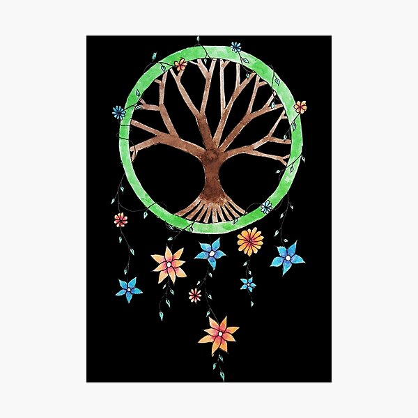 plant dream catcher Photographic Print