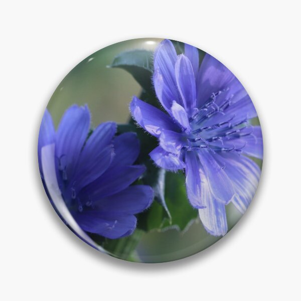 Item preview, Endive Beauty designed and sold by cuprum.