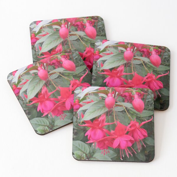 Item preview, Fuchsias  designed and sold by LizEllisPhotos.