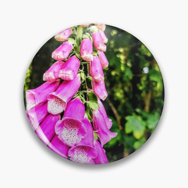 Item preview, Foxgloves designed and sold by hikeaddict.