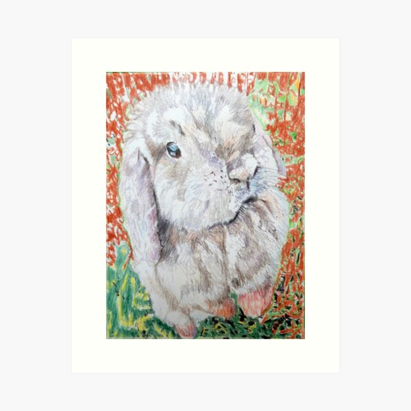 Lop-eared rabbit Art Print