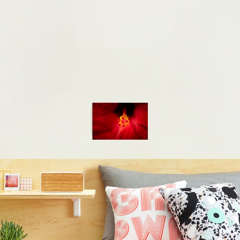 Item preview, Photographic Print designed and sold by RalphGoldsmith.