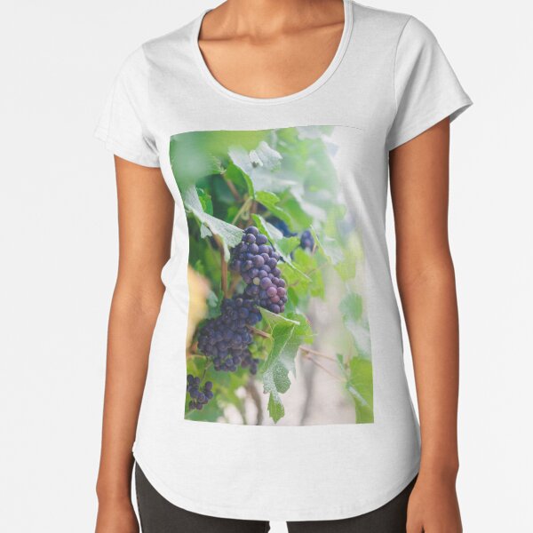 red grapes in vineyard Premium Scoop T-Shirt