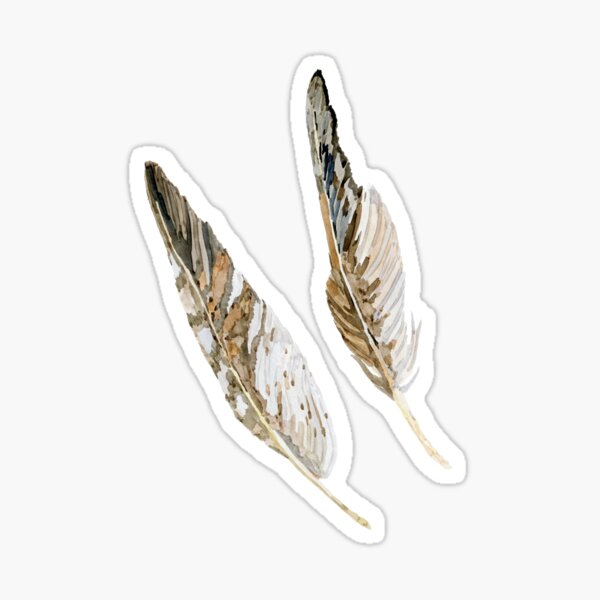 Common Buzzard Feathers Sticker
