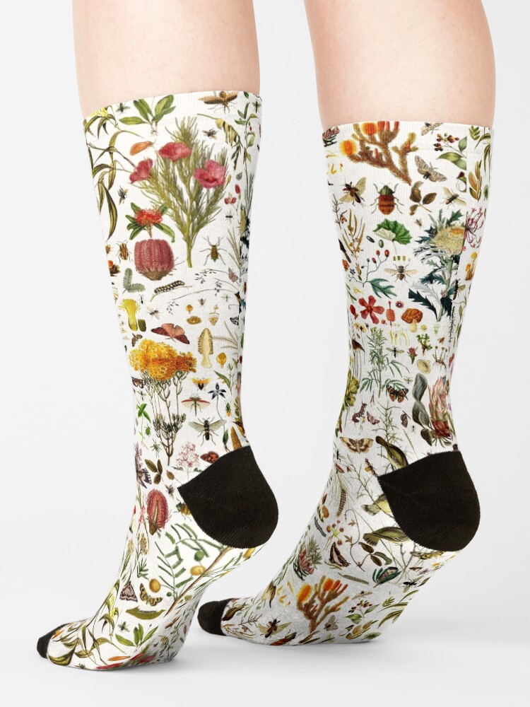 Alternate view of Biology Australia. Socks