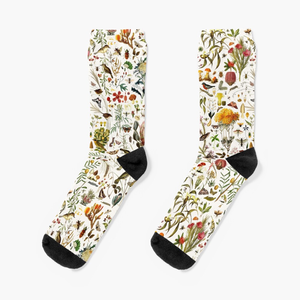 Biology Australia. Socks