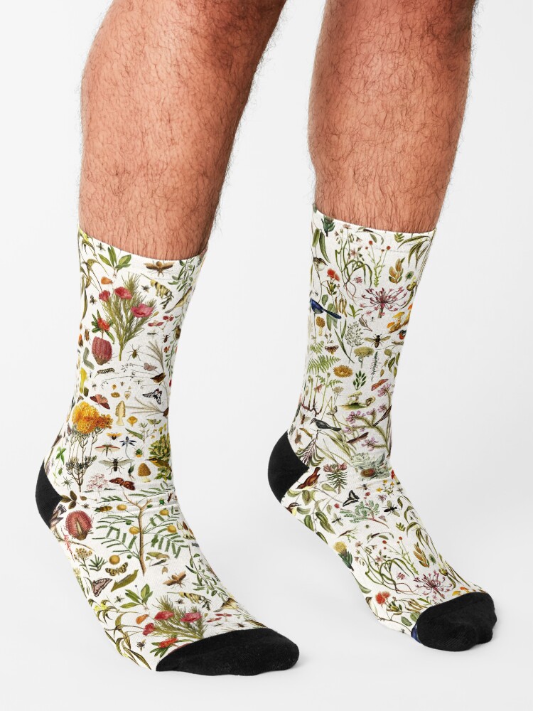 Alternate view of Biology Australia. Socks