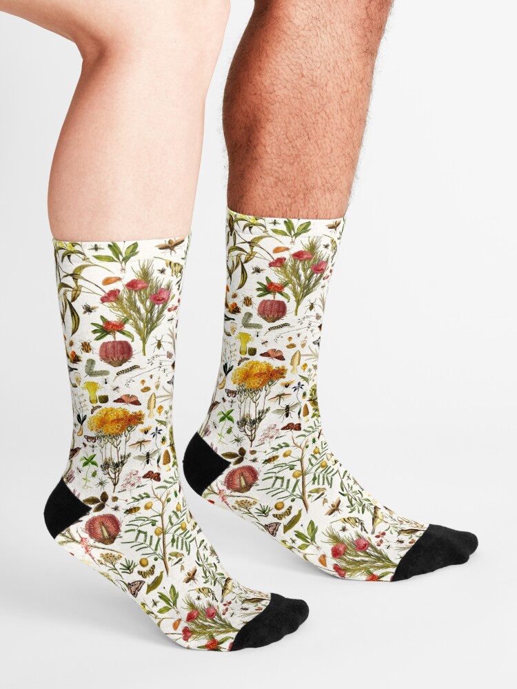 Alternate view of Biology Australia. Socks