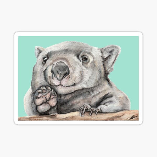 Lucy the Wombat - Teal Sticker