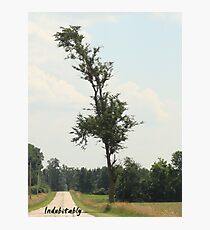 Indubitably Photographic Print